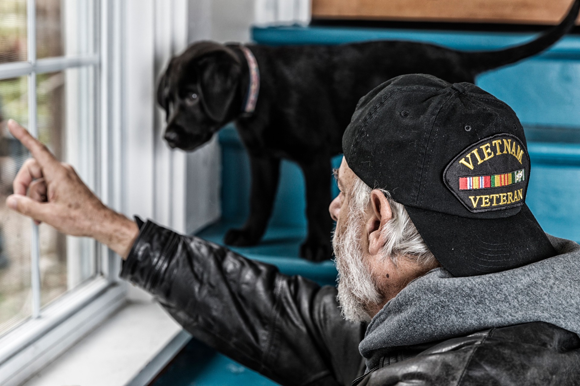 Vietnam War Veteran Pointing Out Window Showing Black Lab Puppy Outdoors